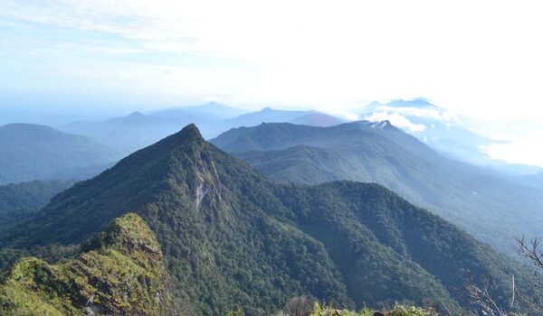 Save Meratus: Antara Ekowisata dan Hak Adat
